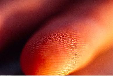 《The Wonderful One》Steam页面上线 售价68元